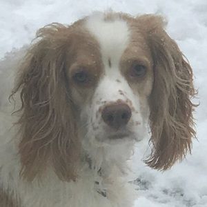 Meet your Posher, Ellen